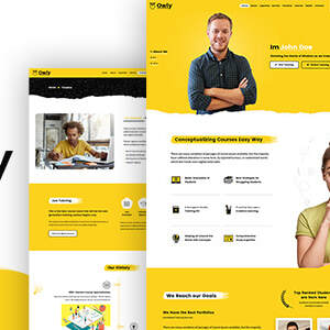 owly-tutoring-elearning-wp-theme